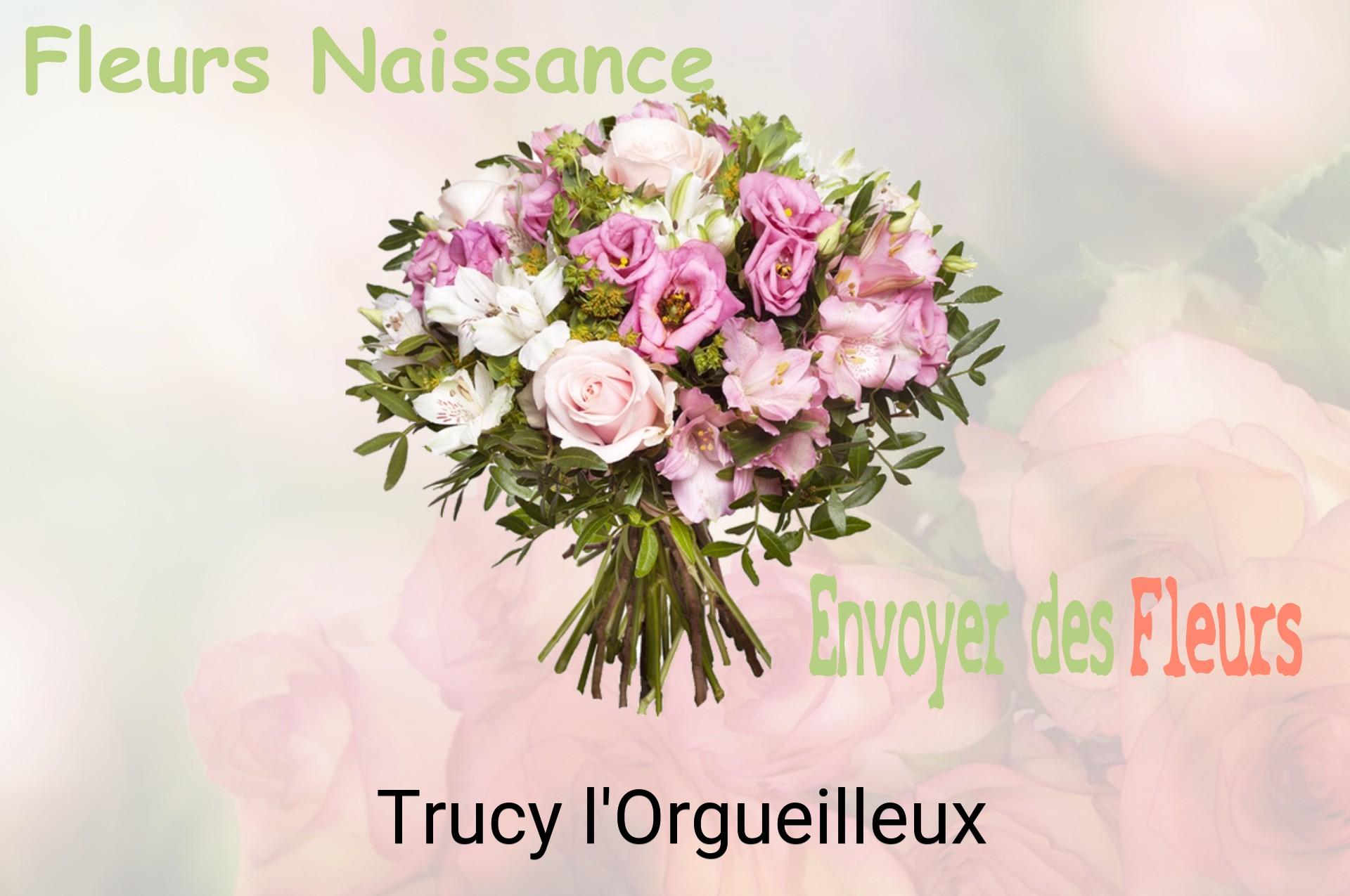 Bouquet de fleurs de naissance livré à Trucy-l'Orgueilleux